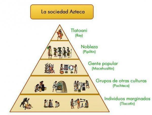 Aztec Empire: Kort resume - Den sociale organisation