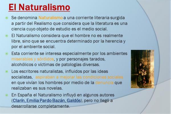 מחברים של ספרות נטורליסטית ספרדית - החשובים שבהם - מהי ספרות נטורליסטית
