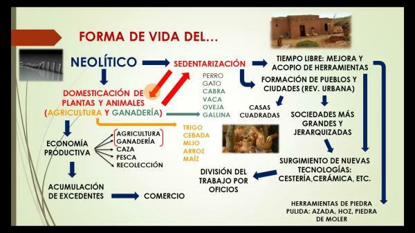 Características Neolíticas - Fases Neolíticas