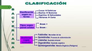 Класификация на бактериите