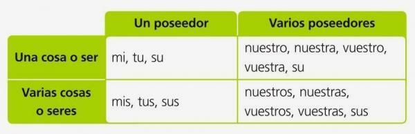 Posesive v španščini - Seznam in primeri - Nenaglašene posesivne določitve 