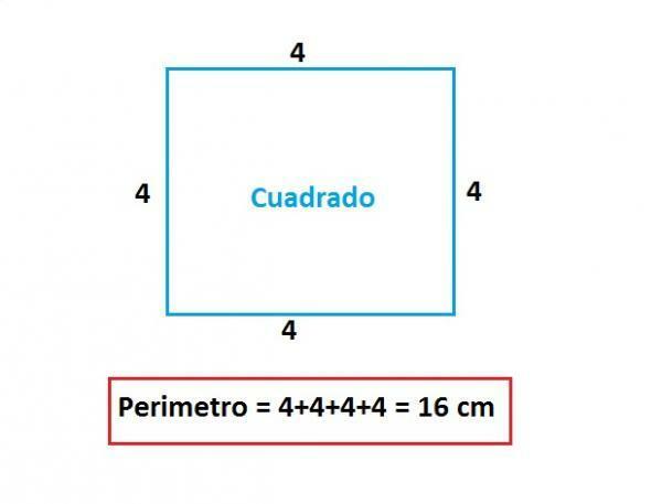 Area and perimeter of a square - How to calculate the area and perimeter of a square? With EXAMPLE!