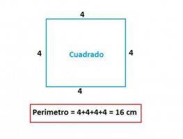Izračunajte POVRŠINO in PERIMETER kvadrata