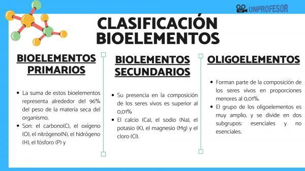 Classification of bioelements
