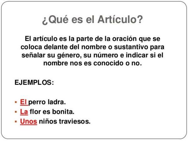 What are the types of articles in Spanish - Examples of sentences with articles