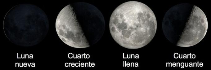 new moon, first quarter, full moon and last quarter, moon phases