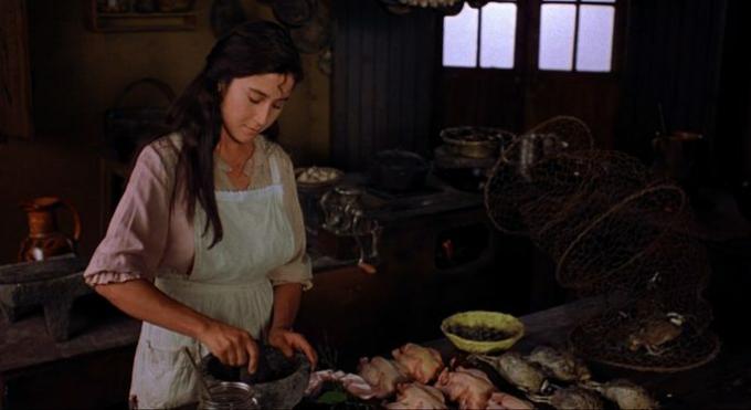 Still from the film Como agua para chocolate in which Tita appears cooking