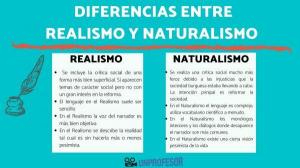 5 literaire verschillen tussen NATURALISME en REALISME