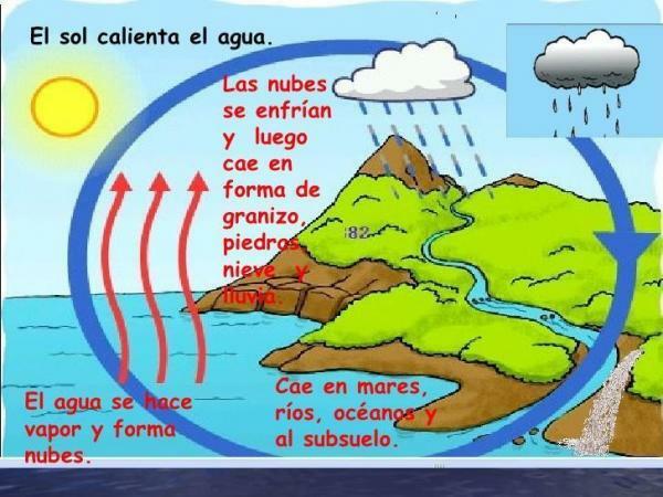 How Rain Is Formed - Summary For Children - The Formation Of Rain