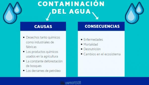 Znečištění vody: příčiny a důsledky