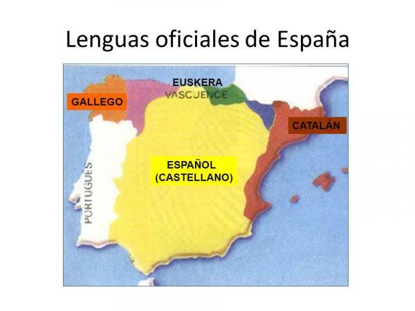 Bahasa dan dialek Spanyol: ringkasan - Bahasa di Spanyol