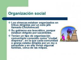 Discover how was the SOCIAL organization of the OLMECAS
