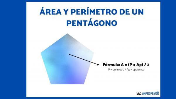 How to find the area of ​​a pentagon