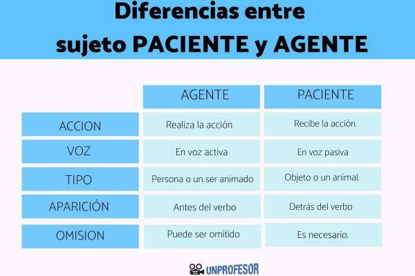 Differences between patient subject and agent - What are the differences between patient subject and agent