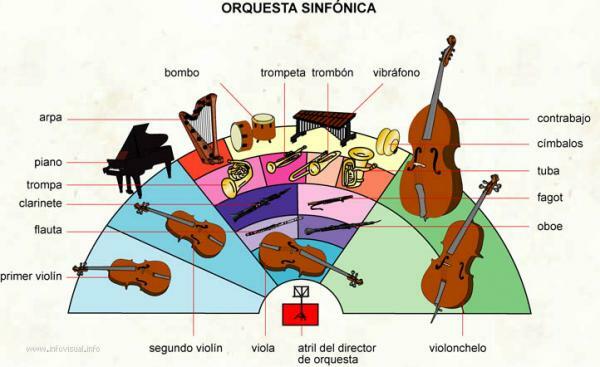 Simfoninio ir filharmonijos orkestro skirtumas - kas yra orkestras?