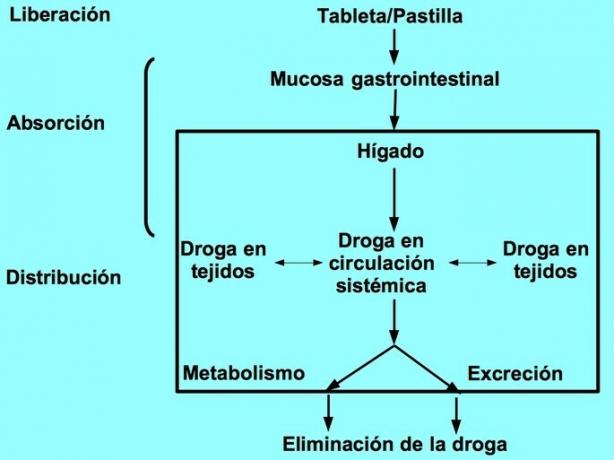 фармакокінетична карта концепції