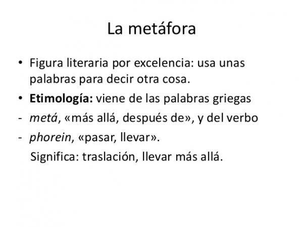 Metonimia e metafora: differenze - Definizione di metafora