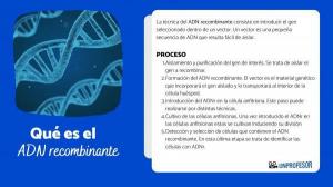 Recombinant DNA: definition and process