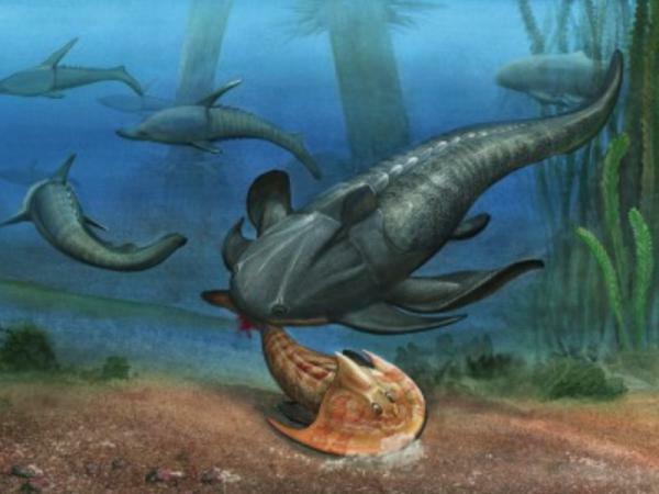Devonian period: main characteristics - What is the Devonian period?