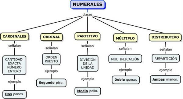 Vrste številskih determinant