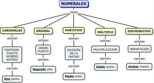 Types of numeral determinants