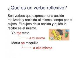 Apa kata kerja refleksif dalam bahasa Spanyol