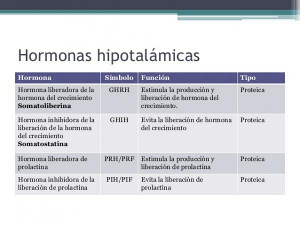 Hypothalamische hormonen en hun functies - Hypothalamische vrijmakende hormonen