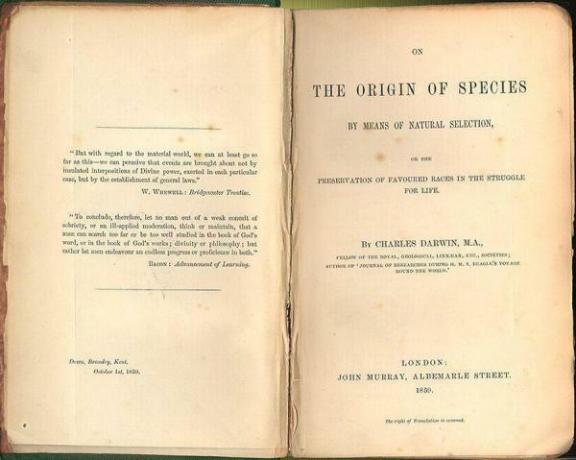 Charles Darwin- Krótka biografia - Pierwszy etap: od młodej sieroty do promocji partii