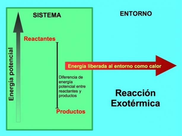 differenza di energia potenziale di reazione esotermica
