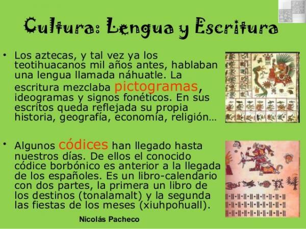 Languages ​​of the Aztec culture - Introduction to the culture of the Aztec Empire 