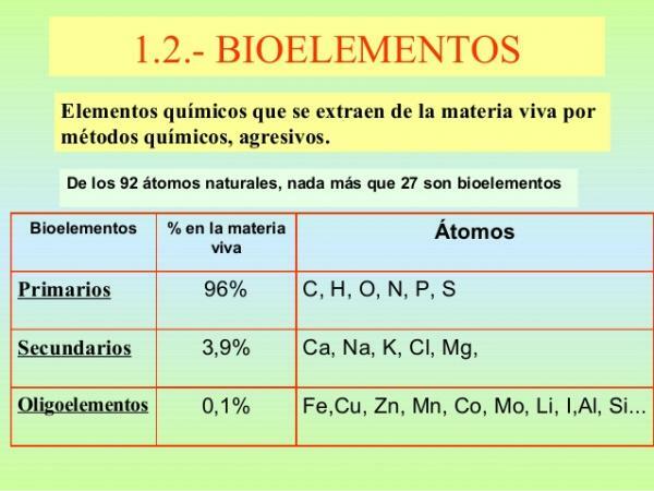 Classification of bioelements - Primary bioelements, the first group of the classification of bioelements 