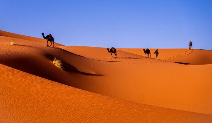 Sahāras tuksnesis