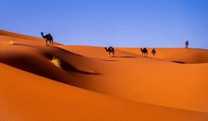 11 типів пустель та їх характеристика
