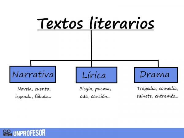 Types of literary texts and characteristics