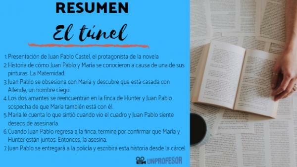 El Túnel: summary by chapters - Summary of the end of El Túnel 