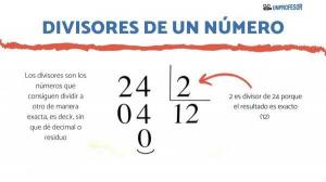 What are the DIVIDERS of a number