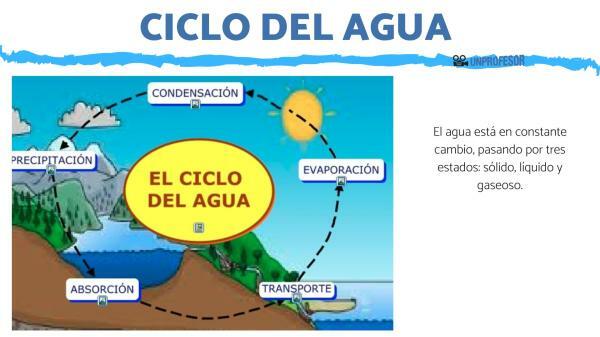 Qual é o ciclo da água - resumo