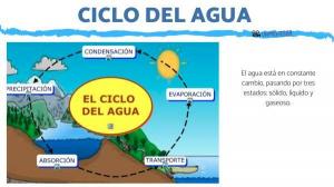 What is the water cycle