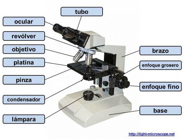 Části mikroskopu a jejich použití