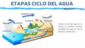 5 stages of the WATER CYCLE