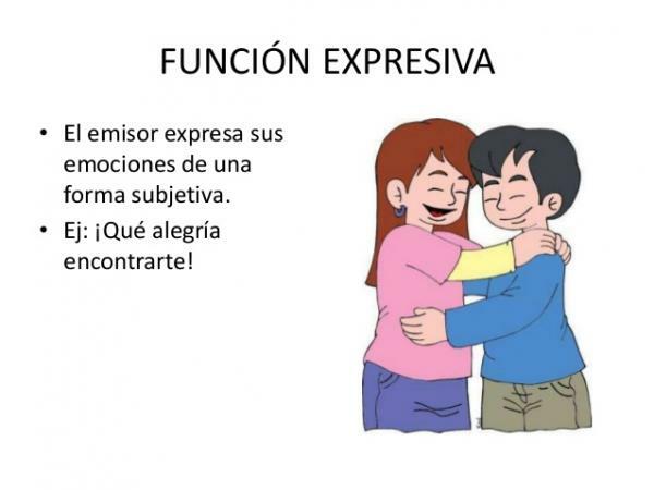 Fungsi ekspresif atau emotif dengan contoh - Apa itu fungsi ekspresif atau emotif