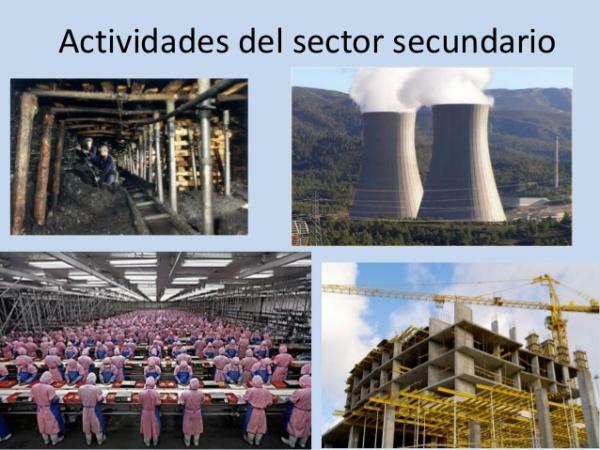 Secondary sector: definition and examples