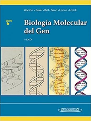 Molekulárna biológia génu