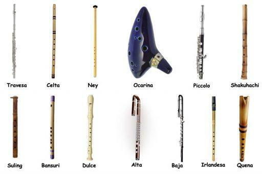 Types of flutes - What are the types of flute that exist