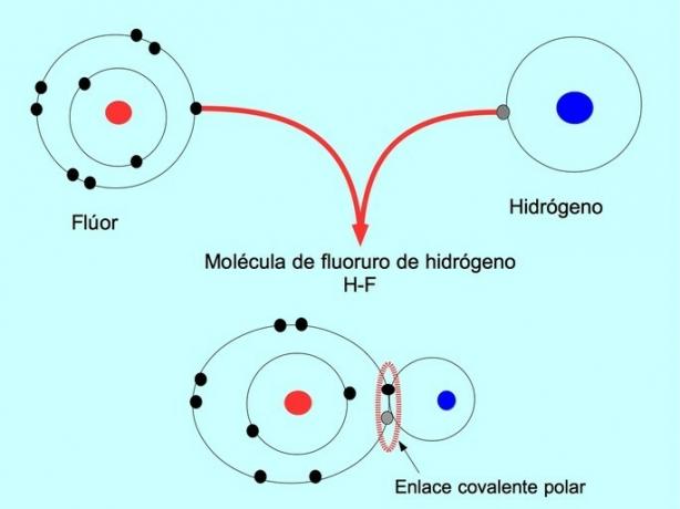 პოლარული კოვალენტური კავშირი წყალბადსა და ფტორს შორის HF– ში
