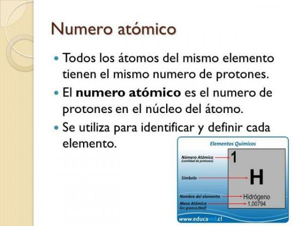 What is the atomic number - The atomic number and the elements
