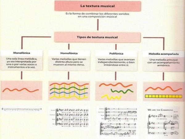 Muzikinės tekstūros tipai - kas yra muzikinė tekstūra