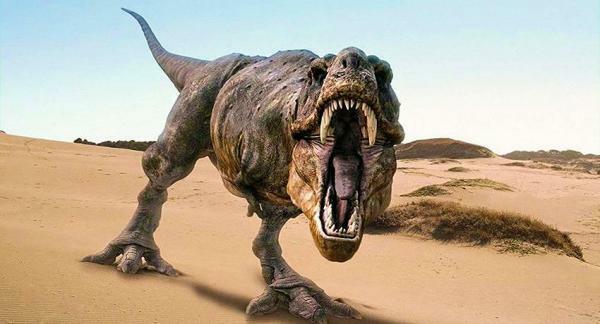 Did dinosaurs roar?