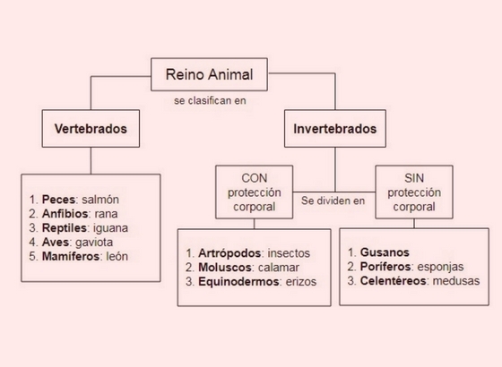 carte conceptuelle