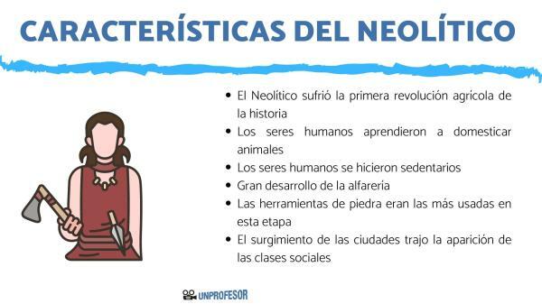 Características Neolíticas